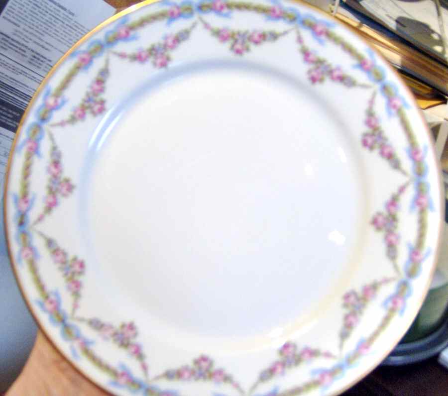 LIM483 Dinner Plate by Limoges-French-1