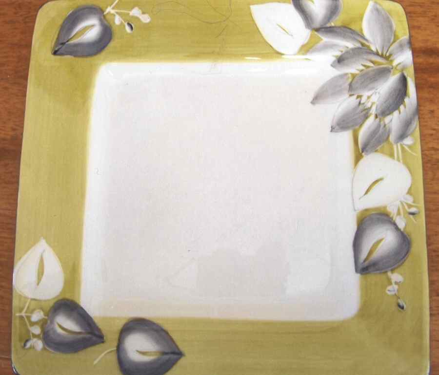 Lizette Moss Square Dinner Plate by Laurie Gates-1