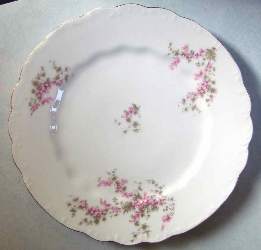 314 Dinner Plate by Lazarus Straus & Sons-1