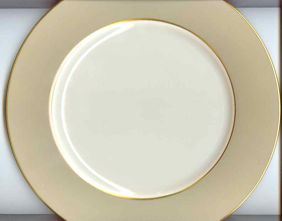 A504 Dinner Plate by Lenox-1