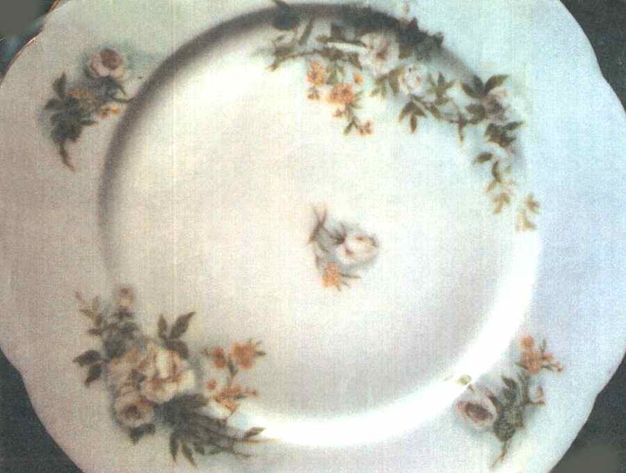 LIM493 Dinner Plate by Limoges-French-1