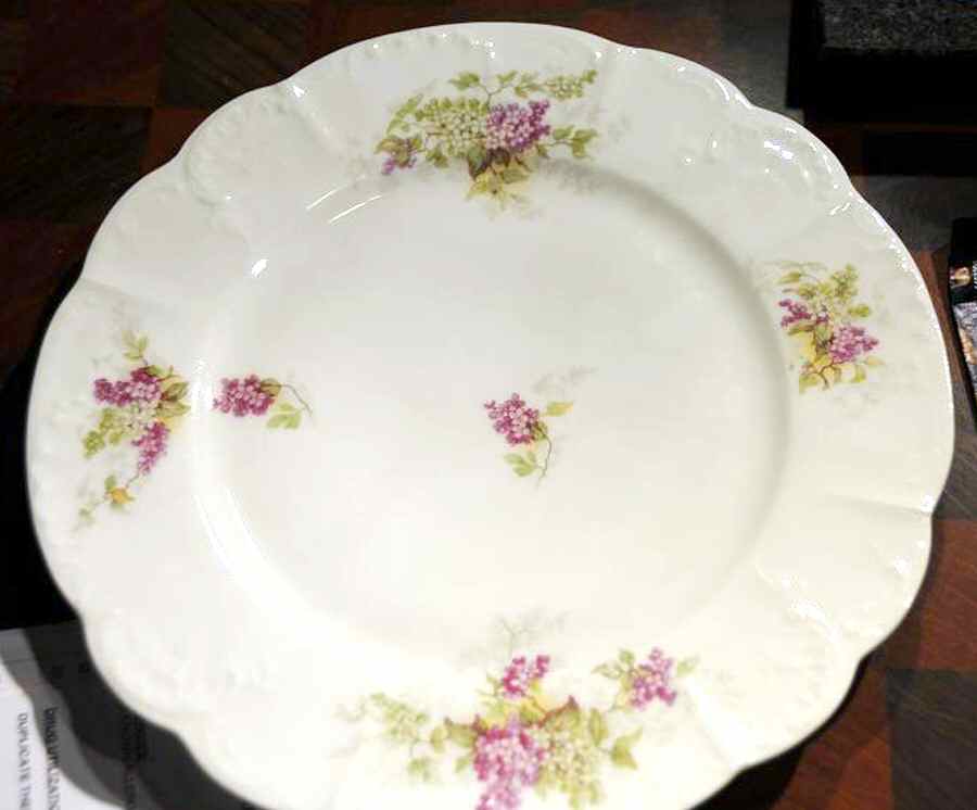 LSS227 Dinner Plate by Lazarus Straus & Sons-1