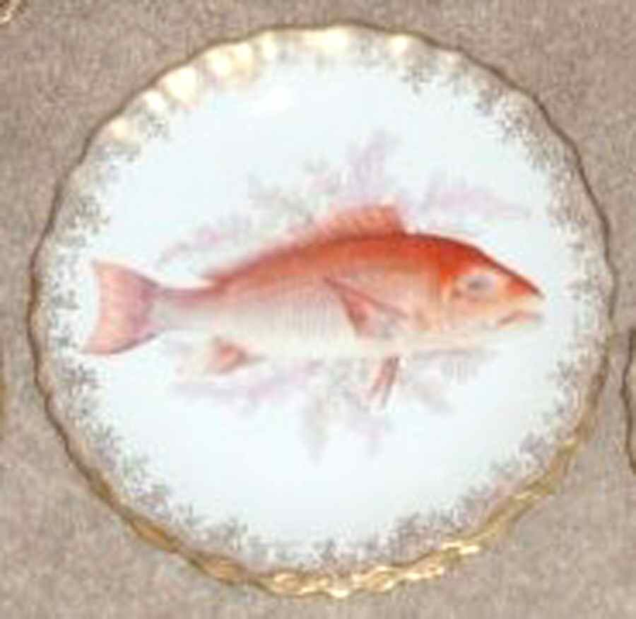 LSS228 Dinner Plate by Lazarus Straus & Sons-1
