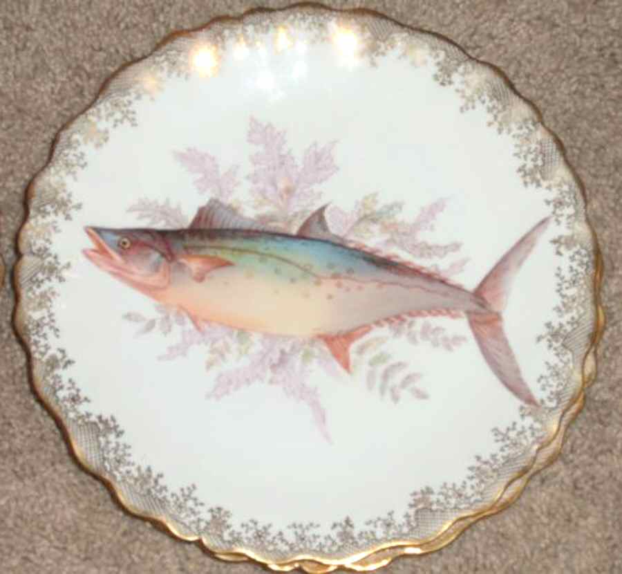 LSS228 Dinner Plate by Lazarus Straus & Sons-1