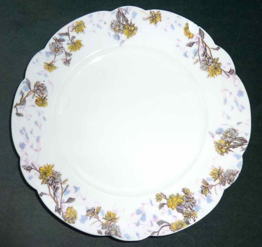 LIM506 Dinner Plate by Limoges-French-1