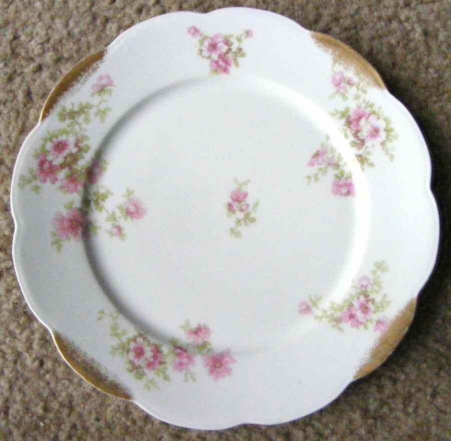 LNT326 Dinner Plate by Lanternier-1