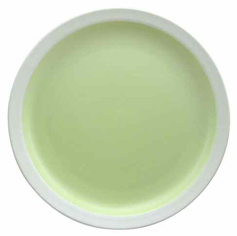 ER-GO Dinner Plate by Lynn's China-1