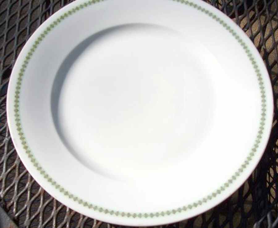 LSS230 Dinner Plate by Lazarus Straus & Sons-1