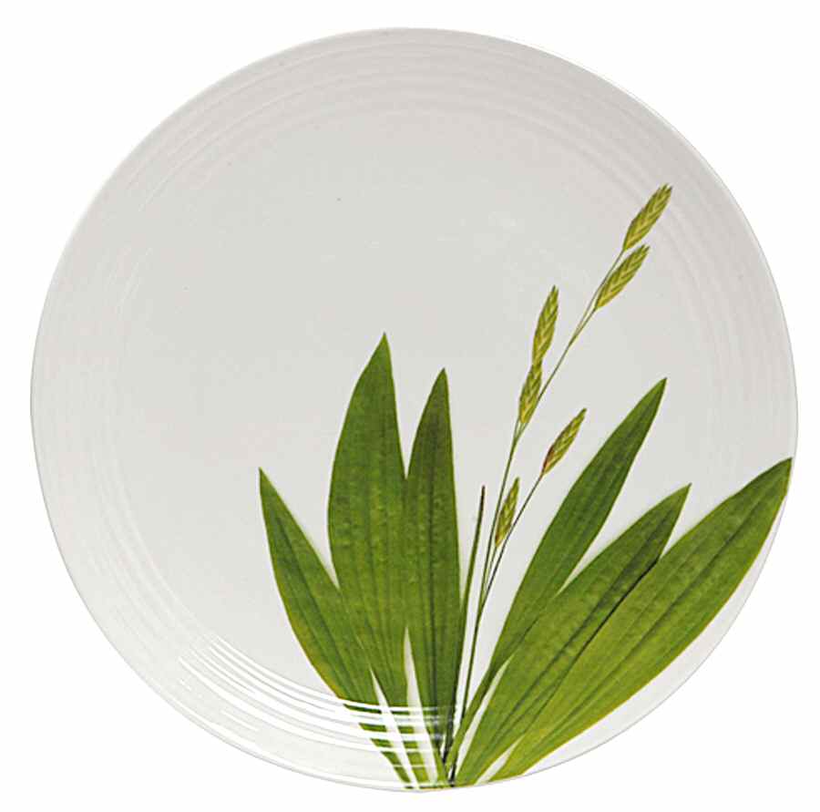 Organic Meadow Dinner Plate by Lynn's China-1