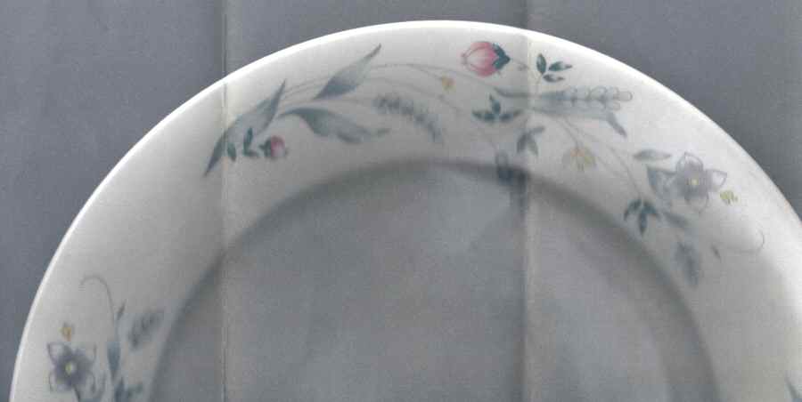 Leslie Dinner Plate by Lynn's China-1