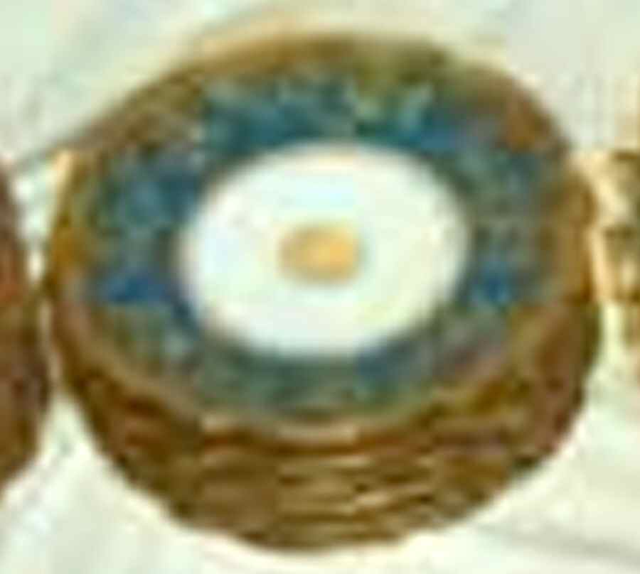 LRI10 Luncheon Plate by LRL Limoges-1
