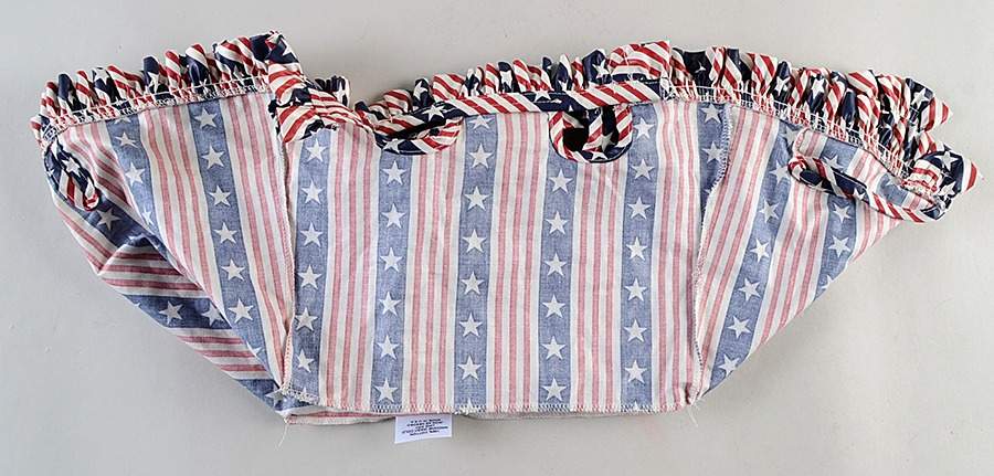 Baskets Liner for Small Picnic Basket by Longaberger-1