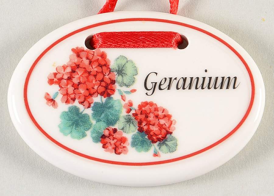 Baskets Geranium Basket Charm Tie-On by Longaberger-1