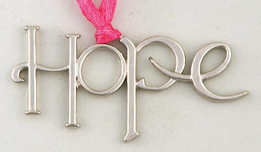 Baskets 2012 Horizon of Hope Tie-On Charm for Basket by Longaberger-1