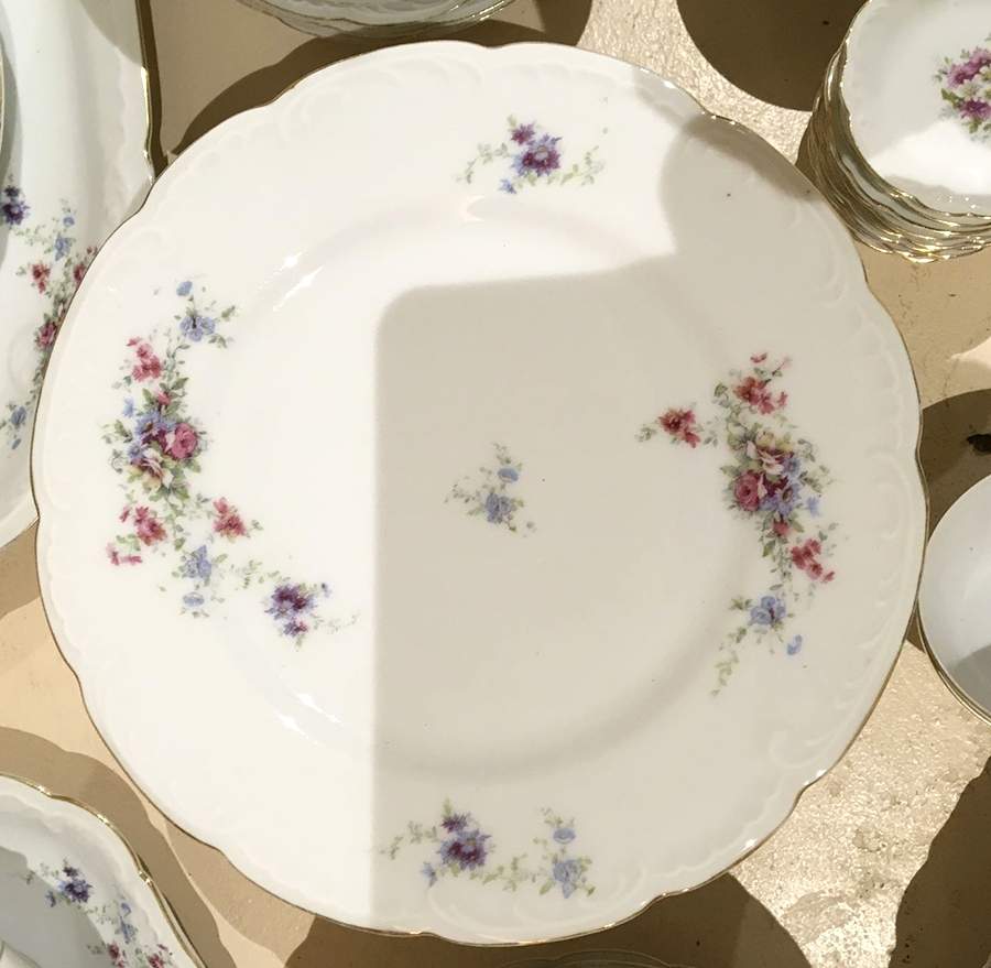 192 Dinner Plate by Lazarus Straus & Sons-1