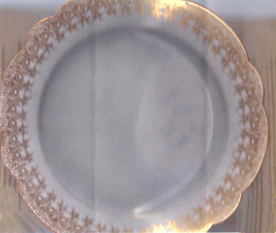 LSS236 Dinner Plate by Lazarus Straus & Sons-1