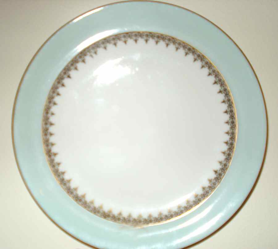 LIM514 Dinner Plate by Limoges-French-1