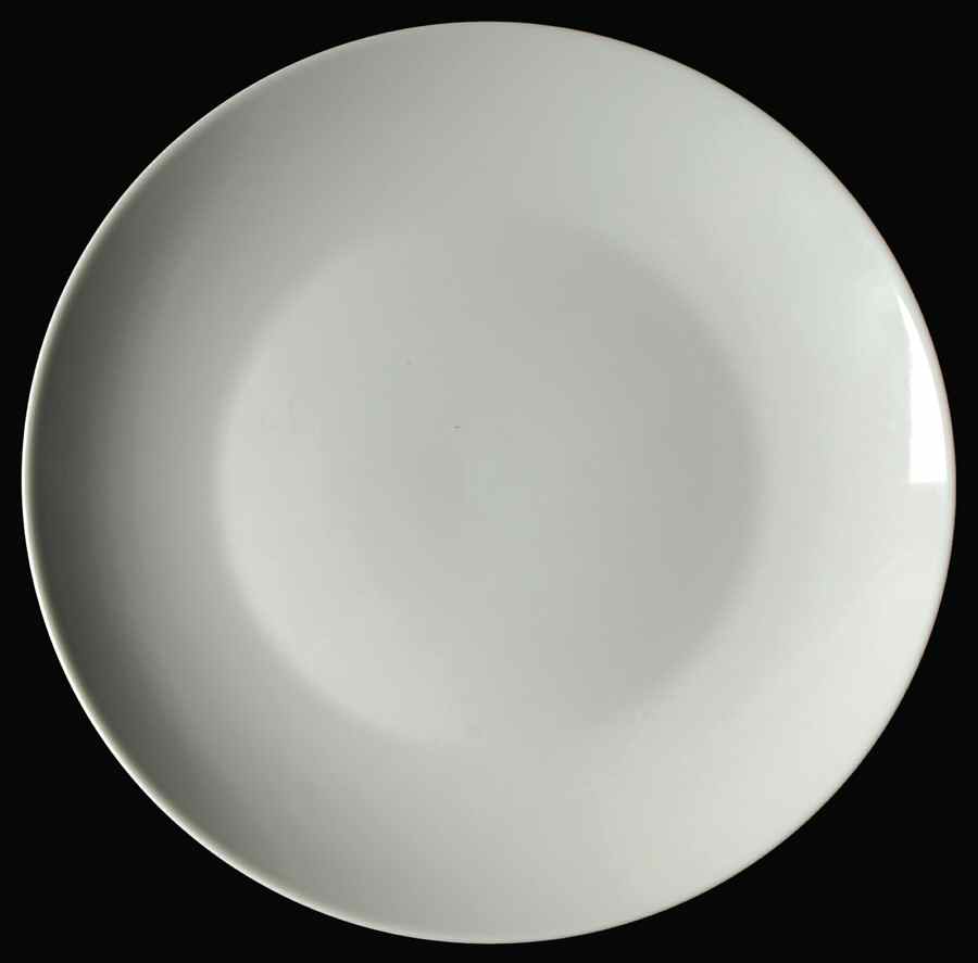 LTG10 Dinner Plate by Linens N Things-1