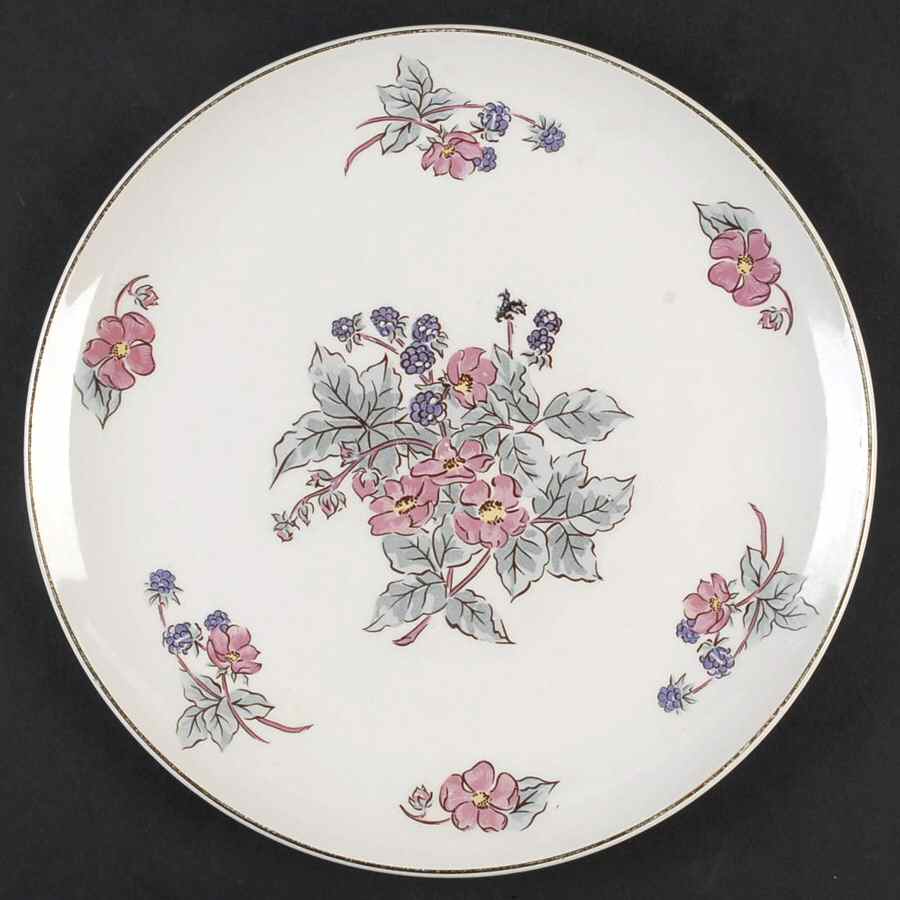 LIA133 Dinner Plate by Limoges-American-1
