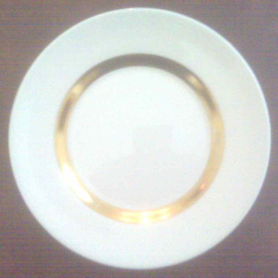 Stretton Dinner Plate by Ralph Lauren China-1