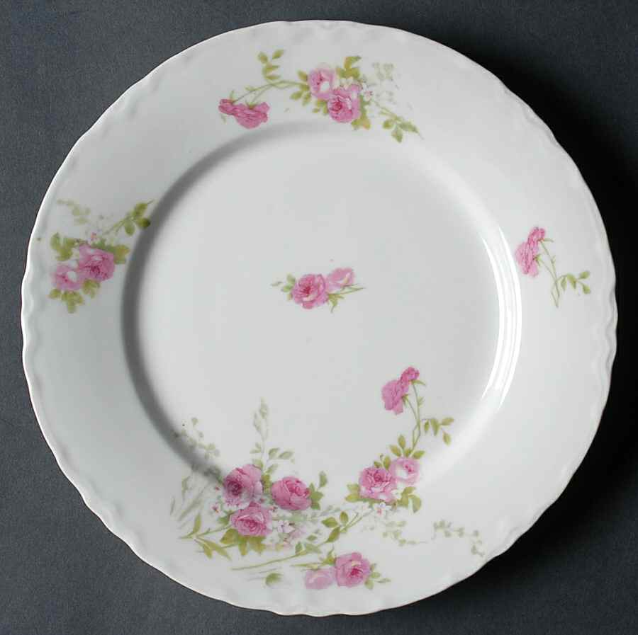 1026 Dinner Plate by Lazarus Straus & Sons-1