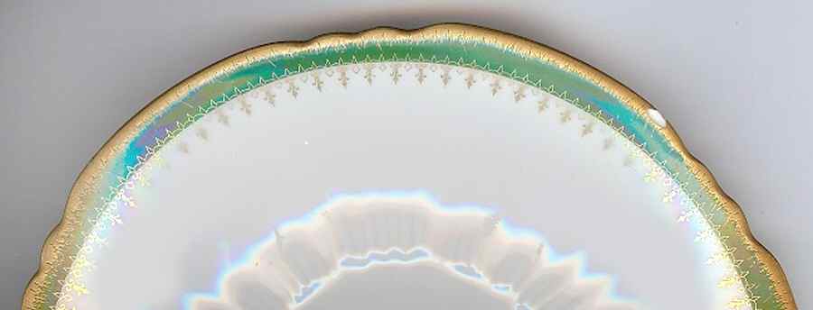 LIM519 Dinner Plate by Limoges-French-1