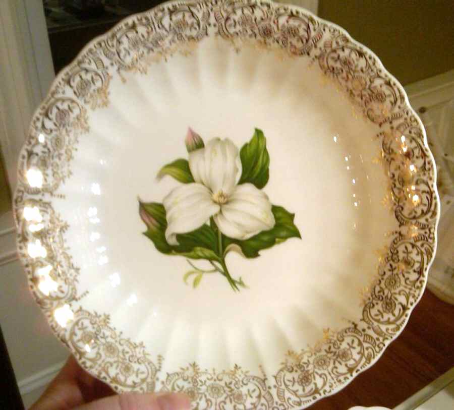 Trillium Coupe Soup Bowl by Limoges-American-1