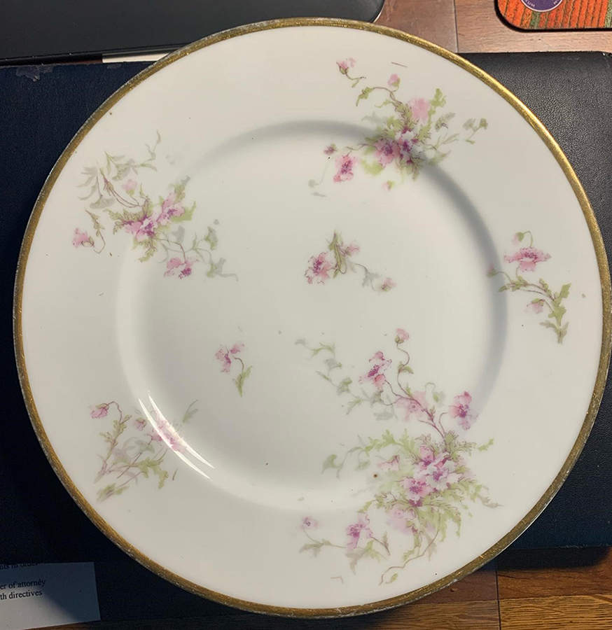 LIM526 Dinner Plate by Limoges-French-1