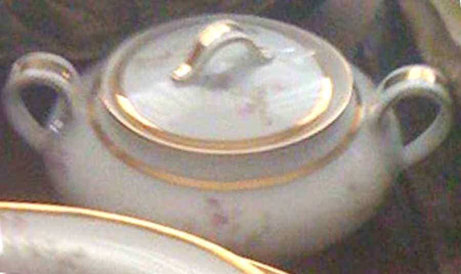 LIM526 Sugar Bowl & Lid by Limoges-French-1