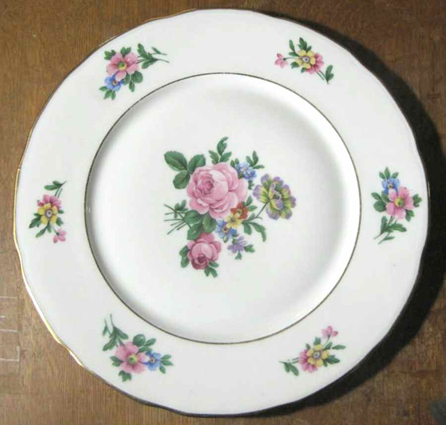 LIM530 Dinner Plate by Limoges-French-1