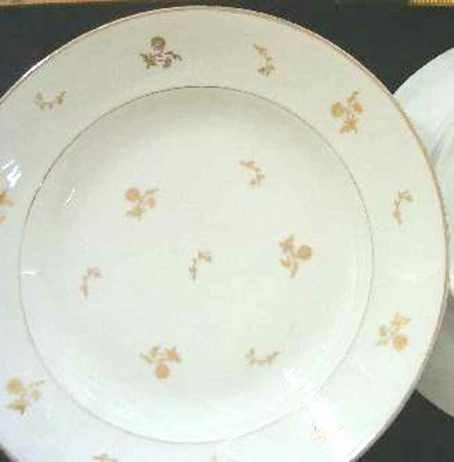 LIM538 Dinner Plate by Limoges-French-1