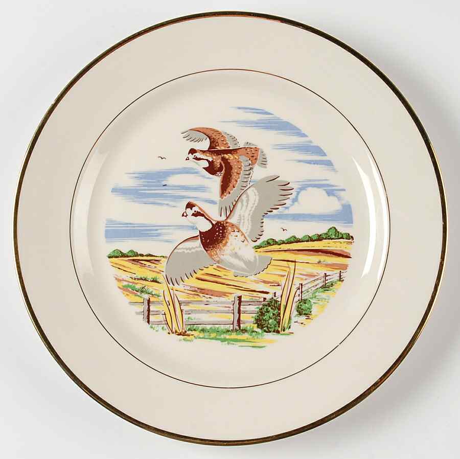 BGN4 Dinner Plate by W C Bunting Co-1