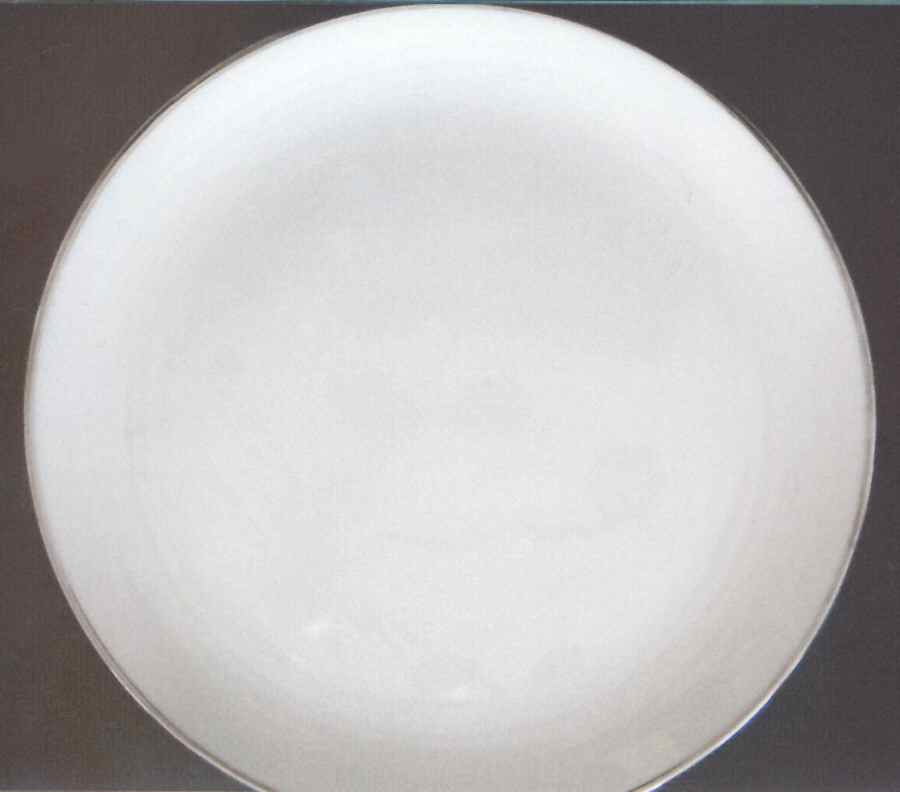 Engagement Dinner Plate by Lifetime-1