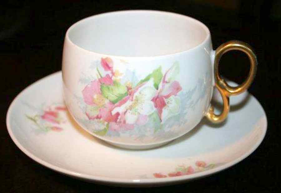 LIM546 Flat Cup & Saucer Set by Limoges-French-1