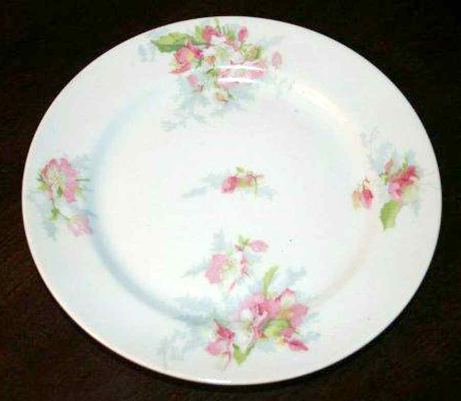 LIM546 Salad Plate by Limoges-French-1