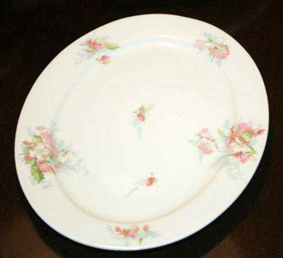 LIM546 Dinner Plate by Limoges-French-1
