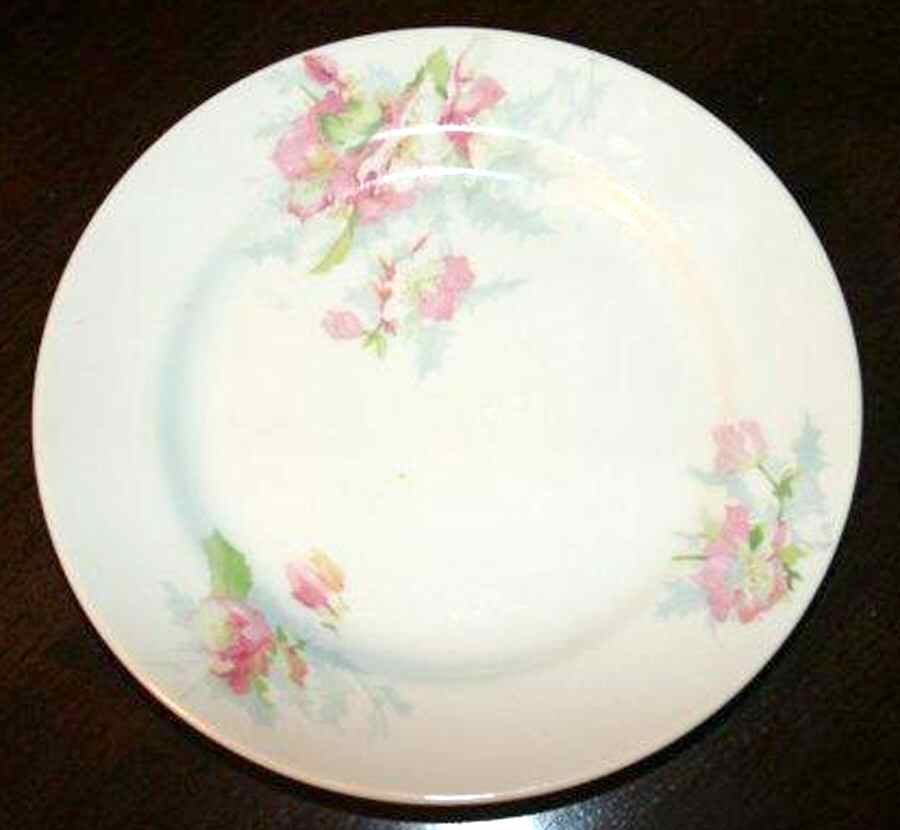 LIM546 Bread & Butter Plate by Limoges-French-1
