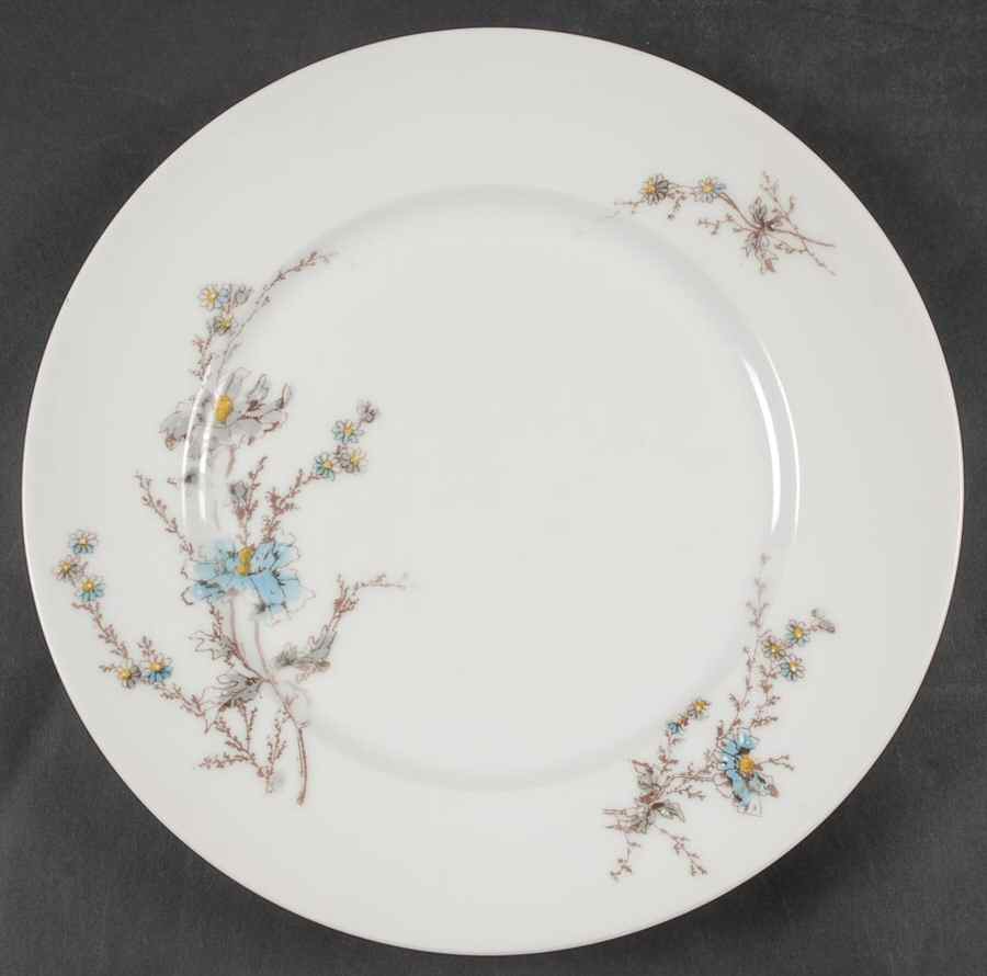 LSS248 Dinner Plate by Lazarus Straus & Sons-1