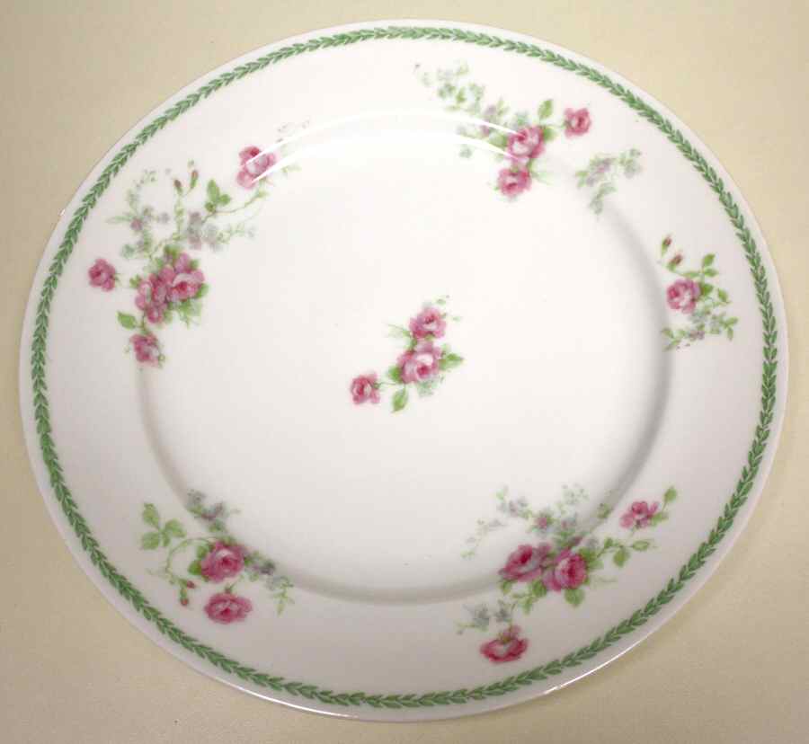 LIM549 Dinner Plate by Limoges-French-1