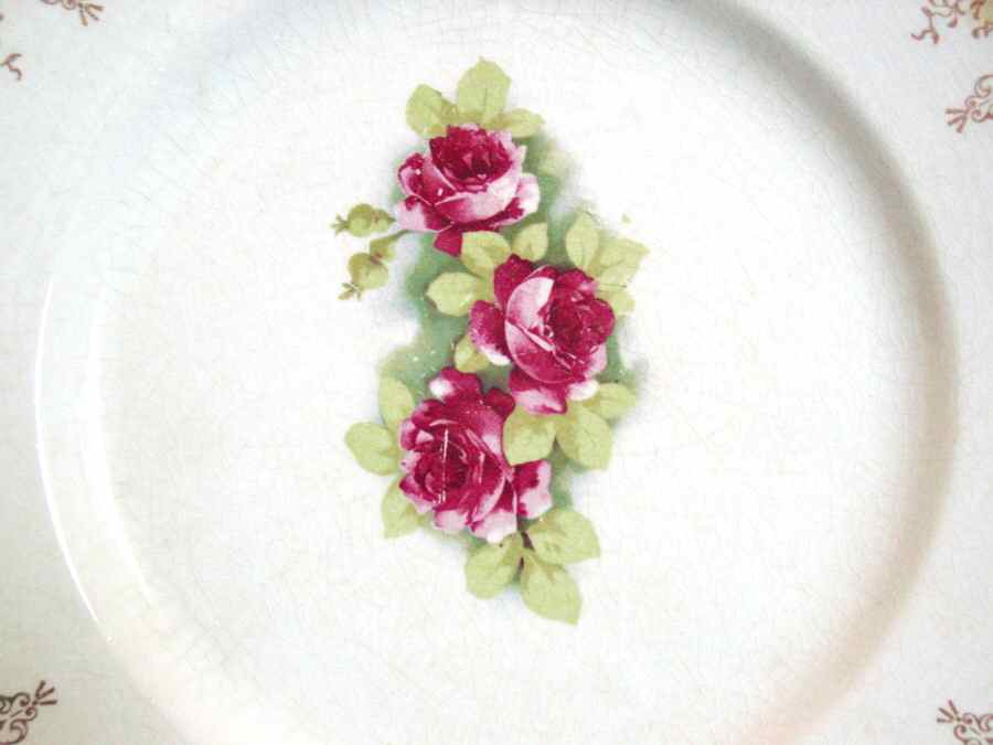 LIA138 Dinner Plate by Limoges-American-1