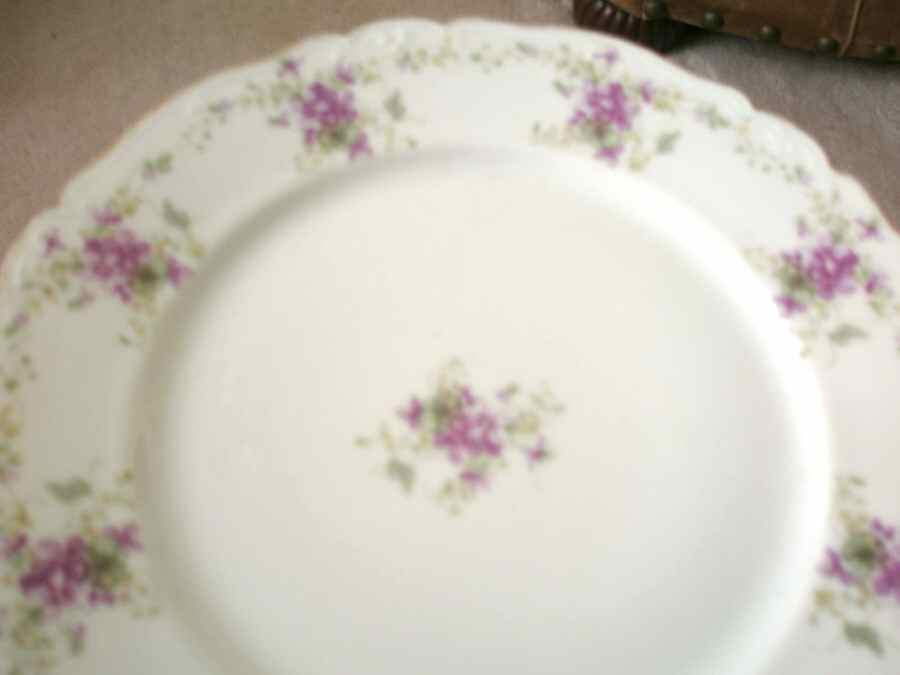 1251 Dinner Plate by Lazarus Straus & Sons-1
