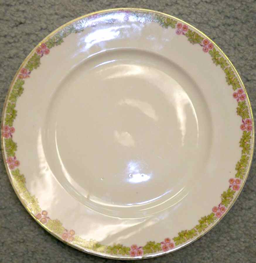LIM558 Dinner Plate by Limoges-French-1