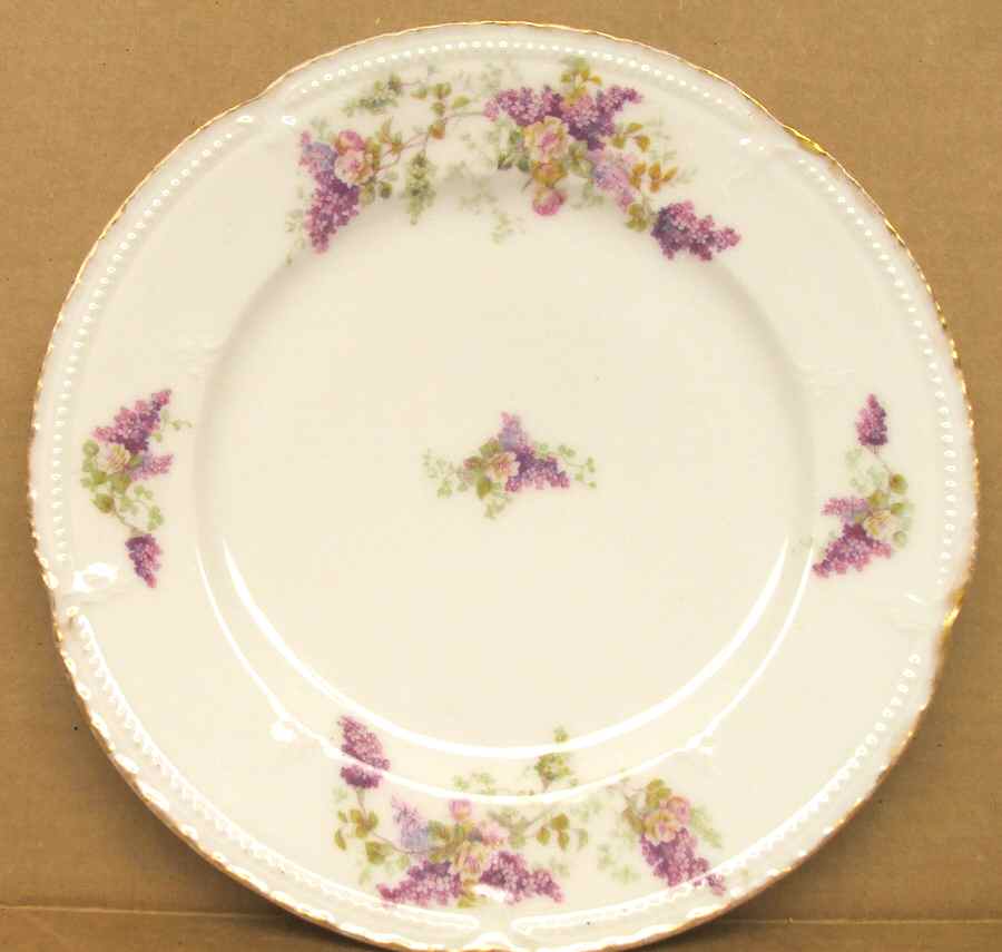 LSS254 Dinner Plate by Lazarus Straus & Sons-1