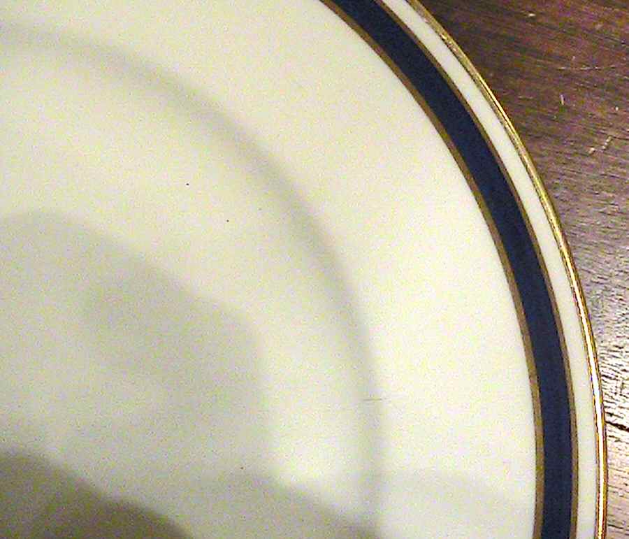 H13 Dinner Plate by Lenox-1