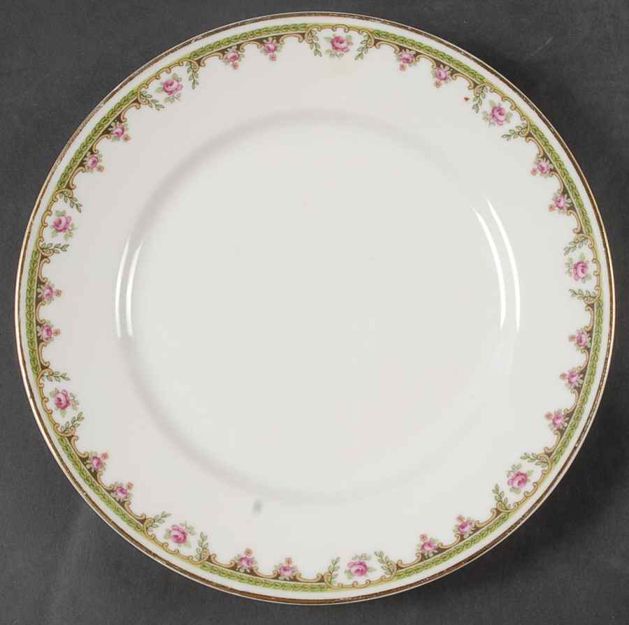 LSS257 Dinner Plate by Lazarus Straus & Sons-1