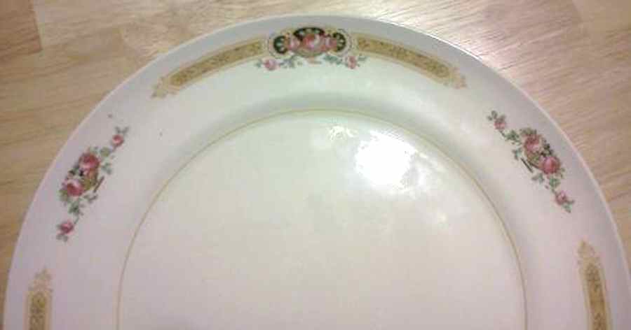LIA144 Dinner Plate by Limoges-American-1