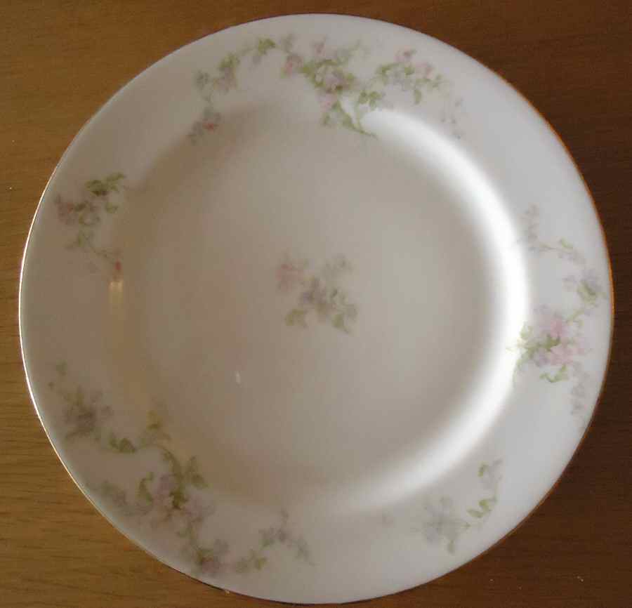 LIM595 Dinner Plate by Limoges-French-1