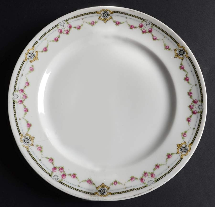 LSS273 Dinner Plate by Lazarus Straus & Sons-1
