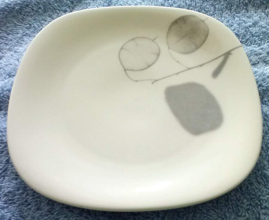 LAG39 Dinner Plate by Langenthal-1