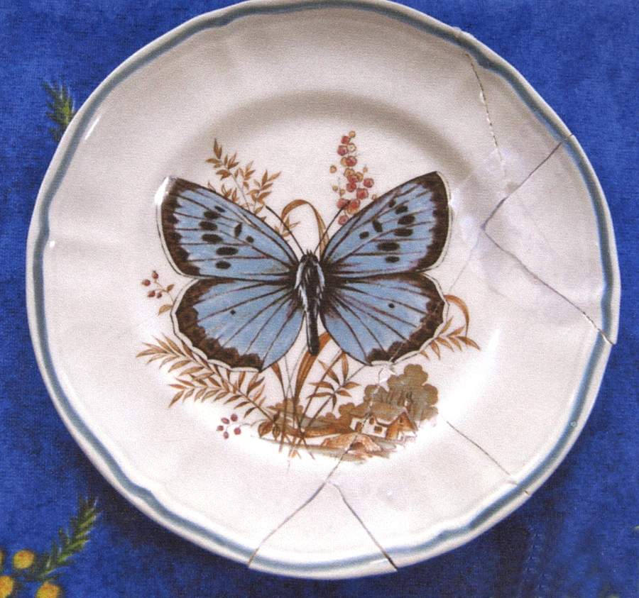 Butterfly Bread & Butter Plate by Longchamp-1